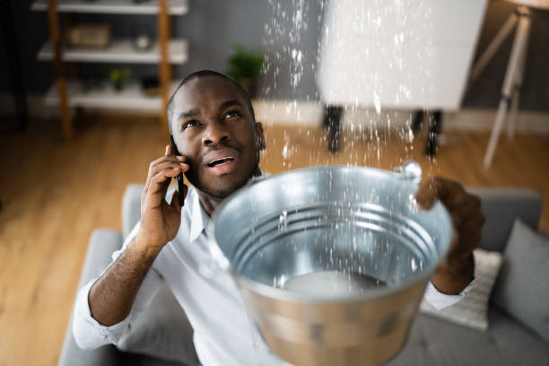 Best Mold removal after water damage  in Granbury, TX