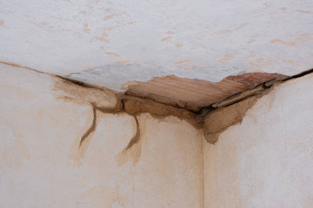 Best 24/7 water damage repair  in Granbury, TX