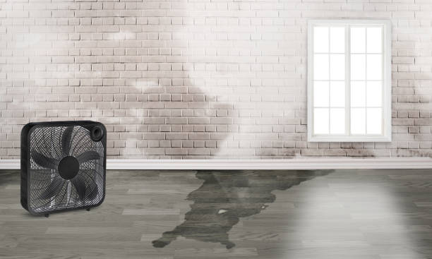Best Fire Damage Restoration  in Granbury, TX