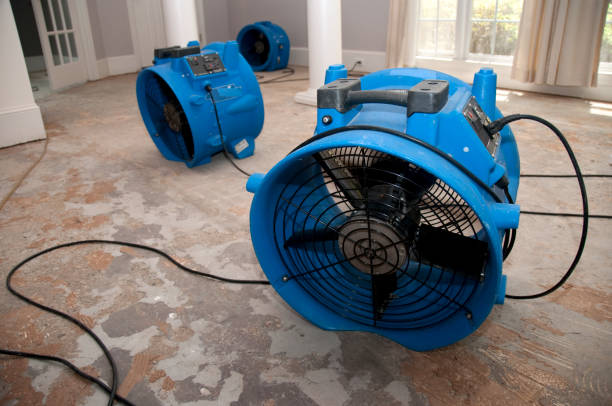 Best Water damage restoration services  in Granbury, TX